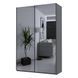 Шафа купе Doros G-Caiser Антрацит 2 Дзеркала / 3 частини 160х60х240 (42005409) (DRS-012242) 51802 фото 3
